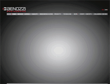 Tablet Screenshot of benozzi.com